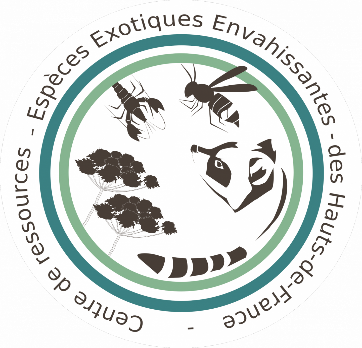 Programme Espèces Exotiques Envahissantes | Conservatoire D'espaces ...